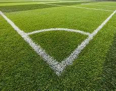 体育官网,产品,333体育官网app,333体育网址,333体育平台,333体育官网app,333体育官网登录