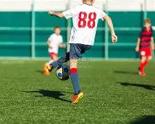 十五运热潮,高涨,光明区体育,333体育网址,333体育平台,333体育官网app,333体育官网登录