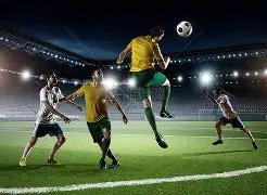 体育官网,资讯,333体育官网app,333体育网址,333体育平台,333体育官网app,333体育官网登录