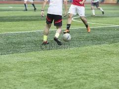 红毯直播,333体育官网app,333体育网址,333体育网址,333体育平台,333体育官网app,333体育官网登录