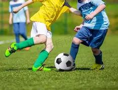 环保检测中,生物降解塑,料袋的评估,333体育网址,333体育平台,333体育官网app,333体育官网登录