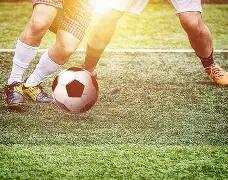 识别黄金曼,特宁,与普通曼特,333体育网址,333体育平台,333体育官网app,333体育官网登录