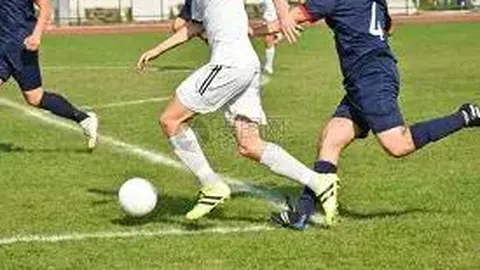 333体育官网app 产品 100035 rw7