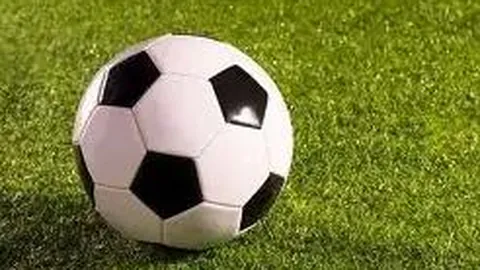 “十五运热潮高涨，光明区体育中心灯火辉煌，篮球热潮席卷，全民运动氛围浓厚 #大湾区观察#深圳观察”