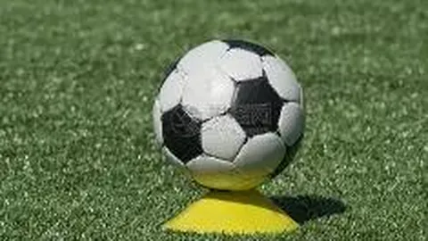 333体育官网app 资讯 112508 i3u