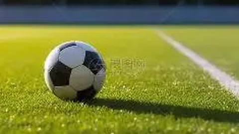 333体育官网app 产品 113046 awz