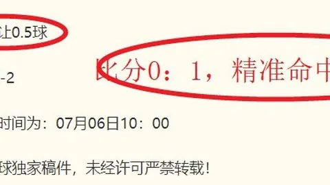 2026版：深度解析客队让利背后的胜败真相
